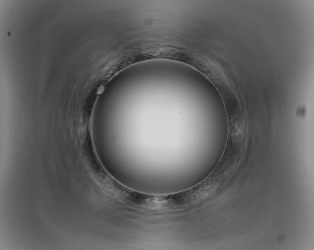 X0000097660607200802291428