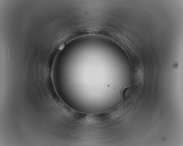 X0000097660608200802291428