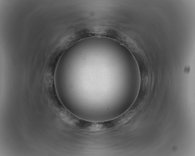 X0000097660609200802291428