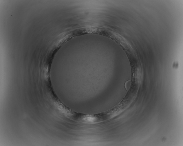 X0000097660610200802291428