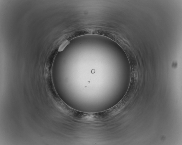 X0000097660611200802291428