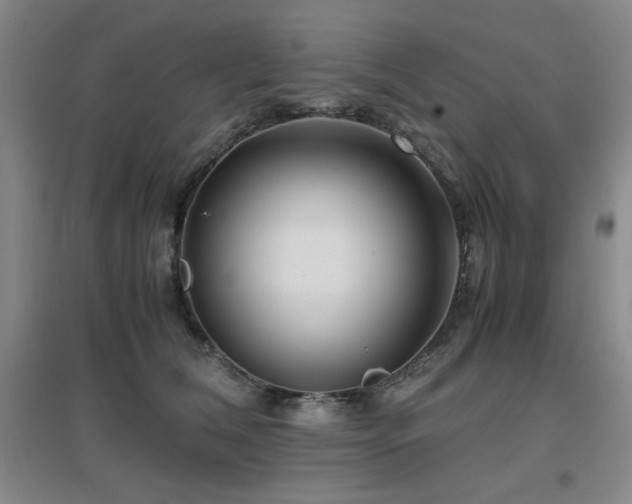 X0000097660612200802291428