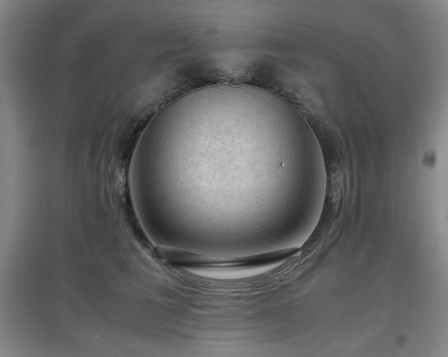 X0000097660613200802291428