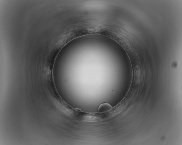 X0000097660614200802291428