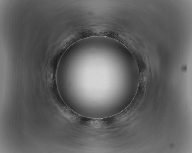 X0000097660615200802291428