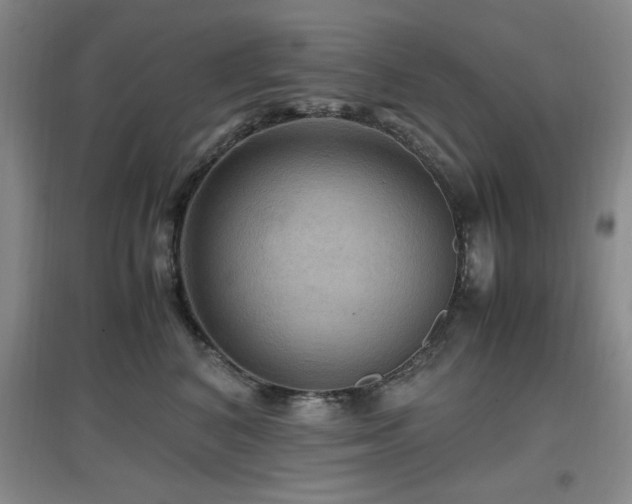 X0000097660616200802291428