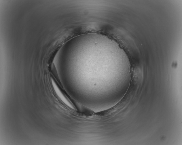 X0000097660617200802291428