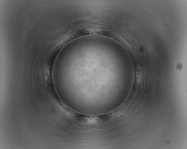 X0000097660618200802291428