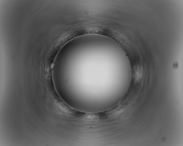 X0000097660619200802291428