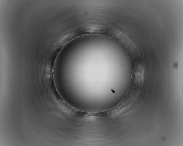 X0000097660620200802291428