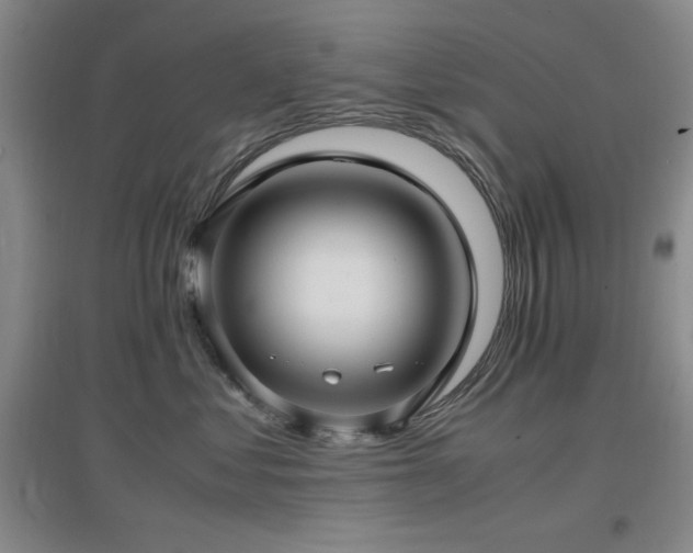X0000097660621200802291428