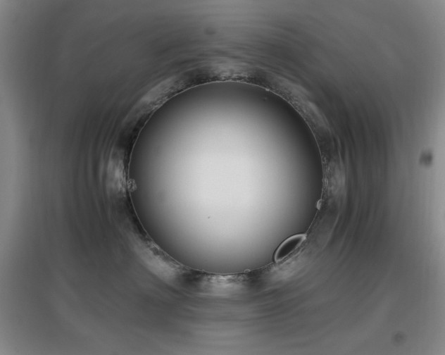 X0000097660622200802291428
