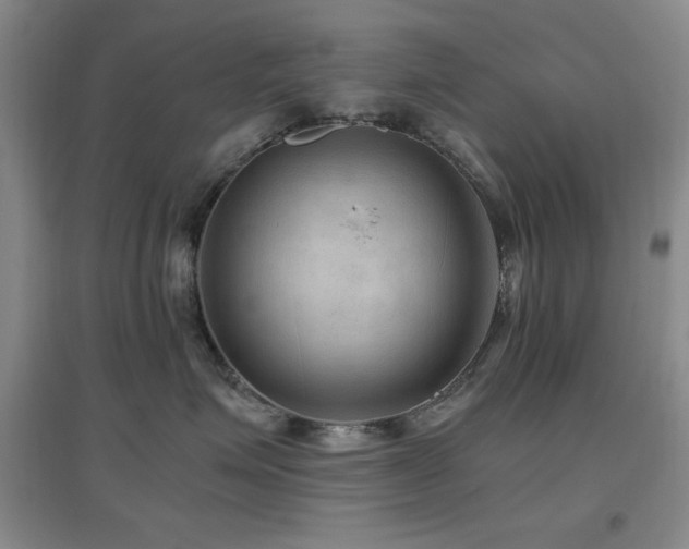 X0000097660623200802291428