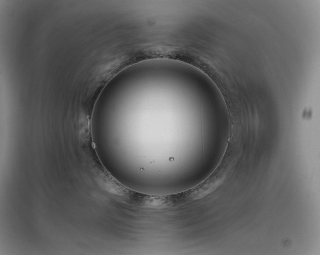 X0000097660624200802291428