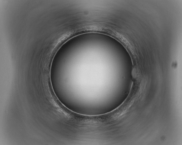 X0000097660625200802291427