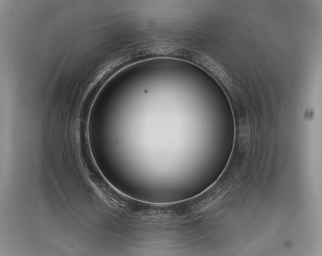 X0000097660626200802291427