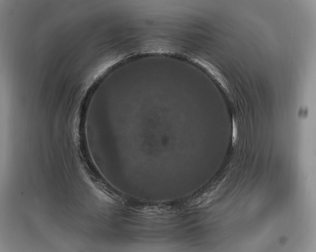 X0000097660627200802291427