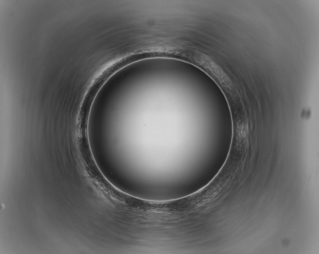 X0000097660628200802291427