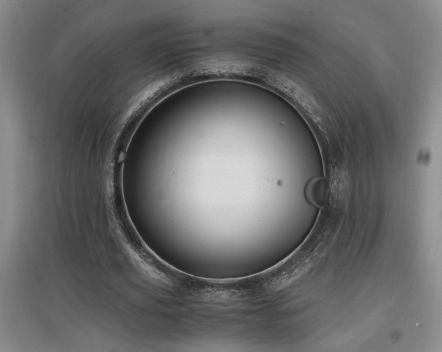 X0000097660629200802291427