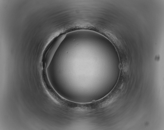X0000097660630200802291427