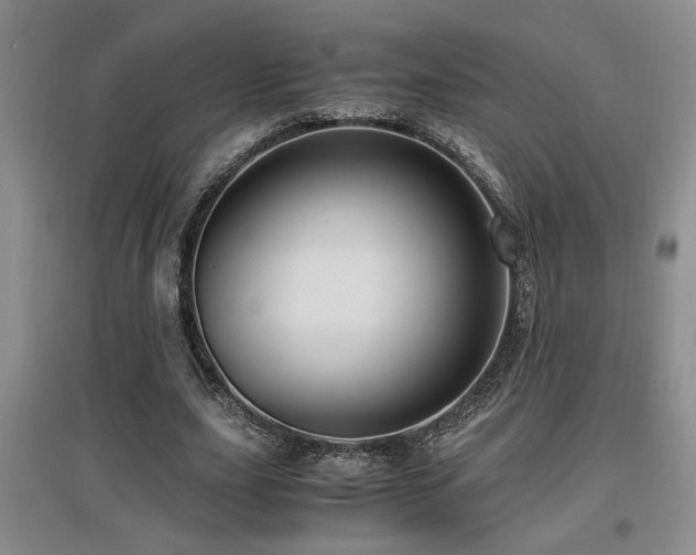 X0000097660631200802291427