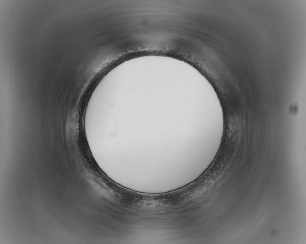 X0000097660632200802291427