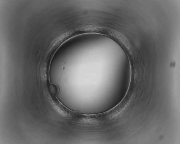 X0000097660633200802291427
