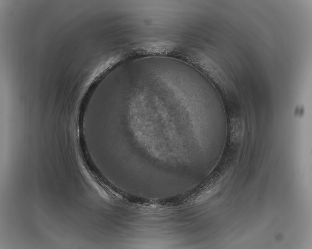 X0000097660634200802291427