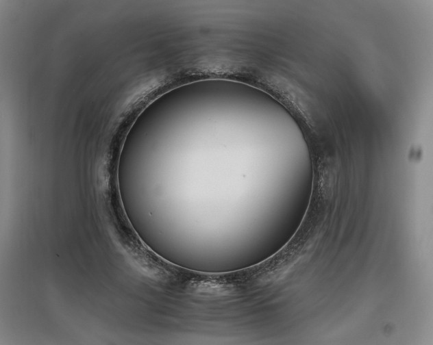 X0000097660635200802291427