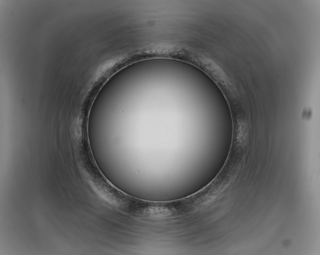 X0000097660636200802291427