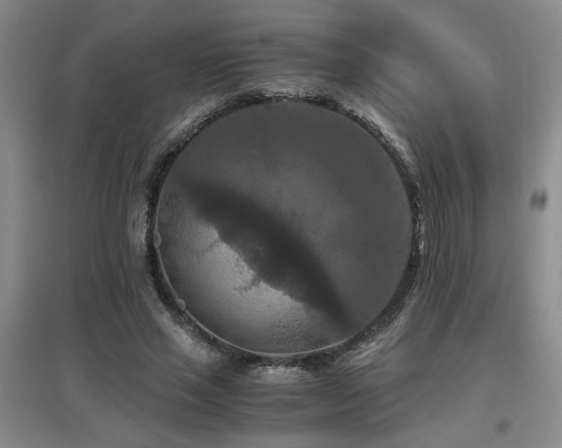 X0000097660637200802291427