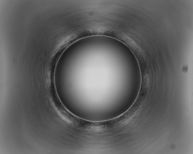X0000097660638200802291427