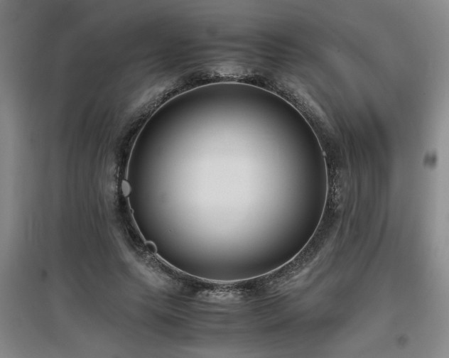 X0000097660639200802291427