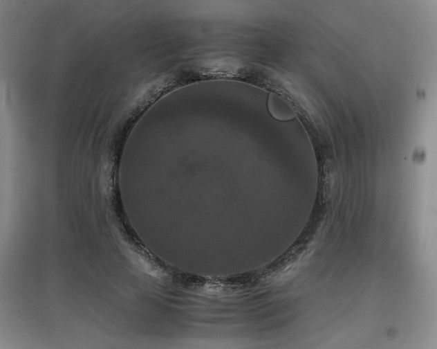 X0000097660641200802291427
