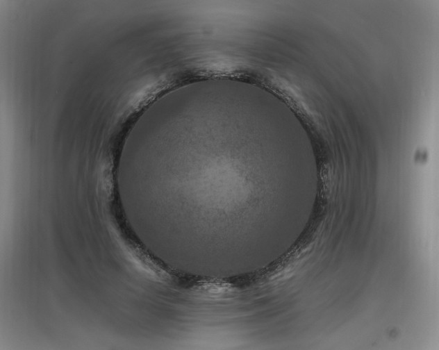 X0000097660642200802291427
