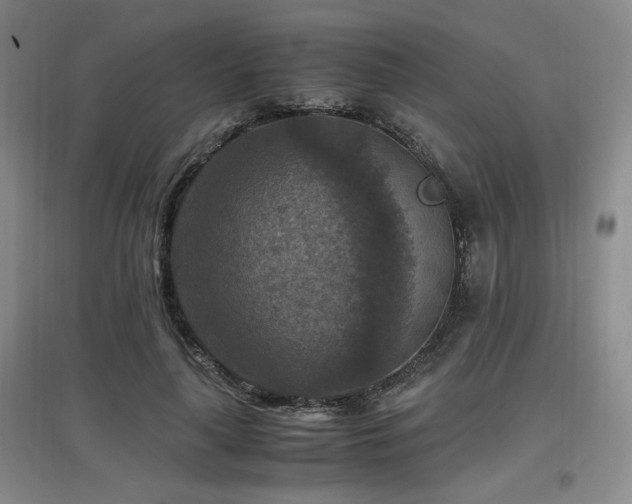 X0000097660643200802291427
