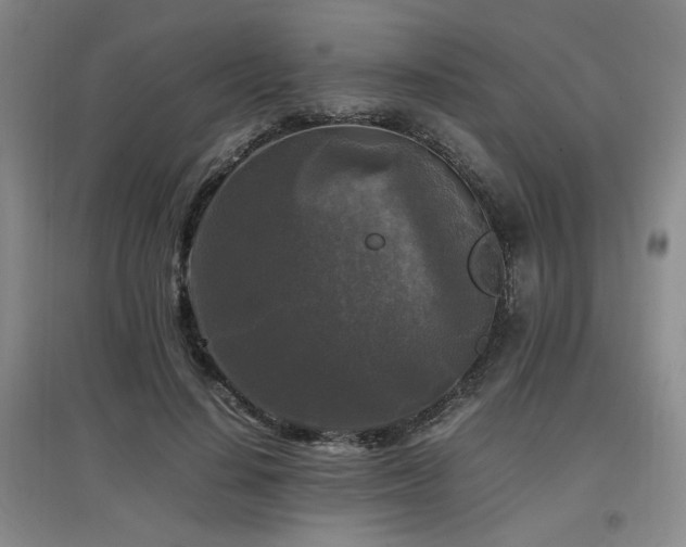 X0000097660644200802291427