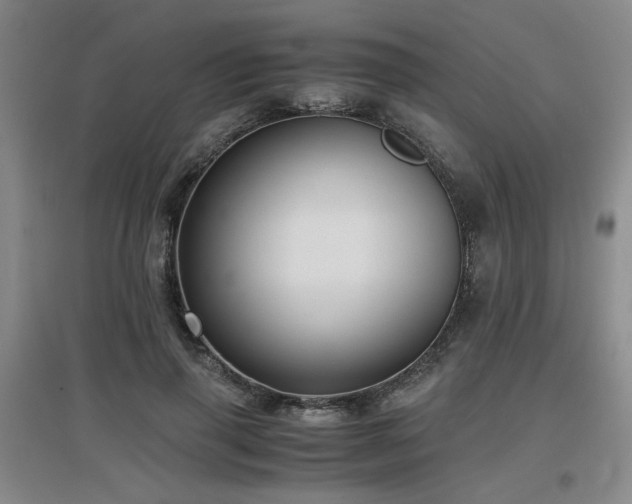 X0000097660645200802291427