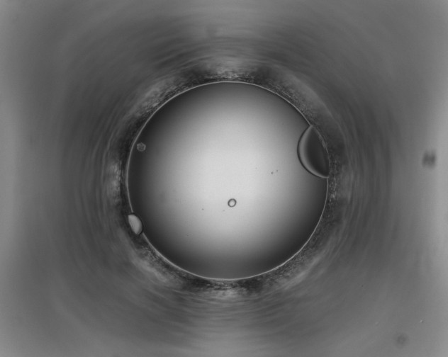 X0000097660646200802291427
