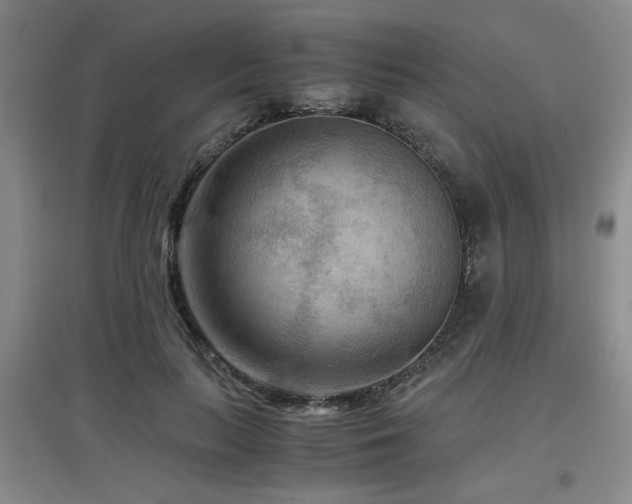 X0000097660647200802291427