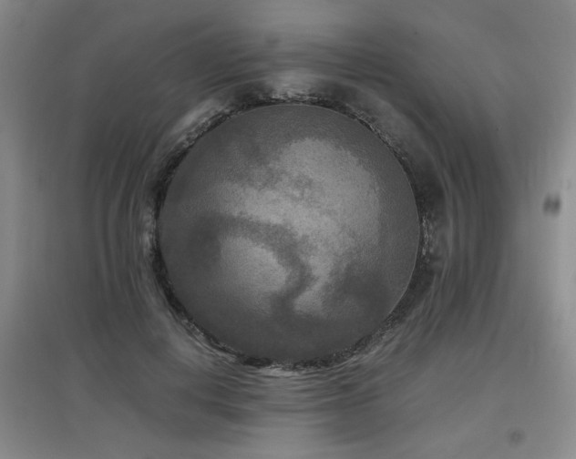 X0000097660648200802291428