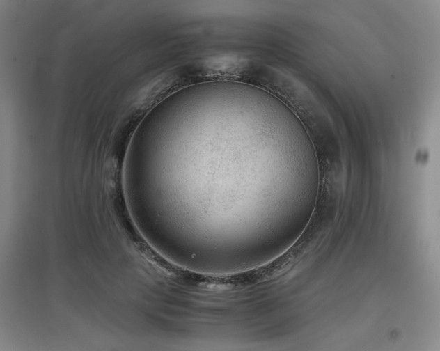 X0000097660649200802291428