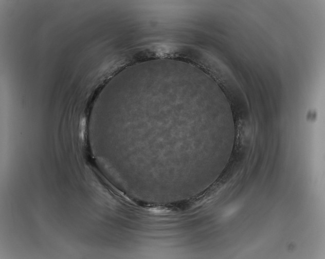 X0000097660650200802291428