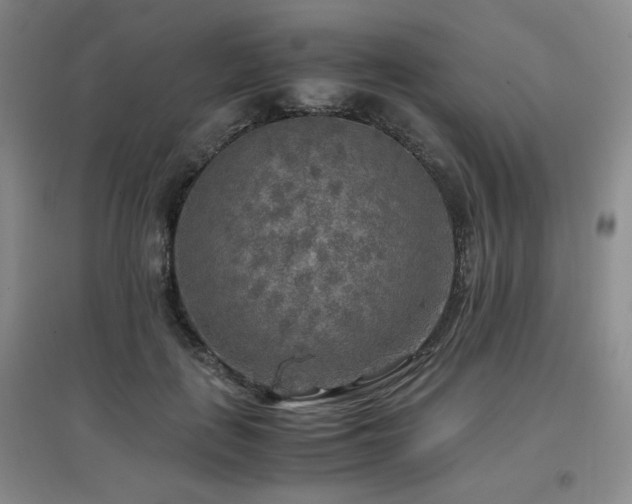 X0000097660651200802291428