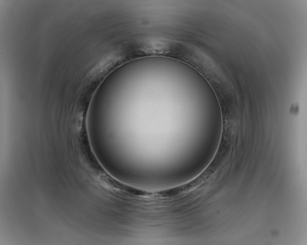 X0000097660652200802291428