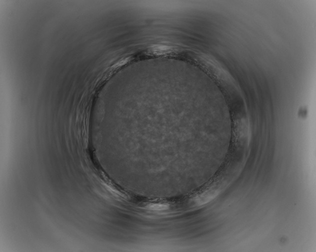 X0000097660653200802291428