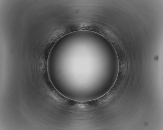 X0000097660654200802291428