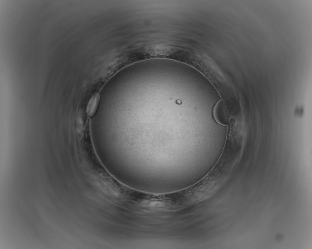 X0000097660655200802291428