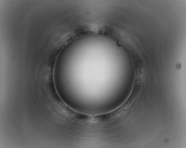 X0000097660656200802291428