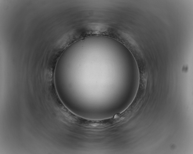 X0000097660657200802291428